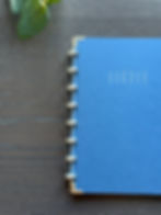 Miniaturbild: FALANO BOOK