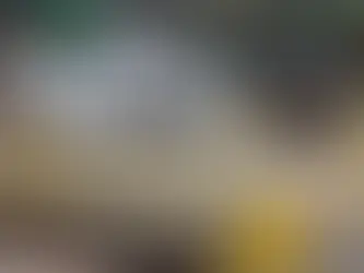 Debunking 4 Common Myths About Underground Utility Locating