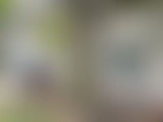 A transfer switch installed outside.