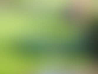 Lawn sprinkler spraying evenly across a green residential lawn.