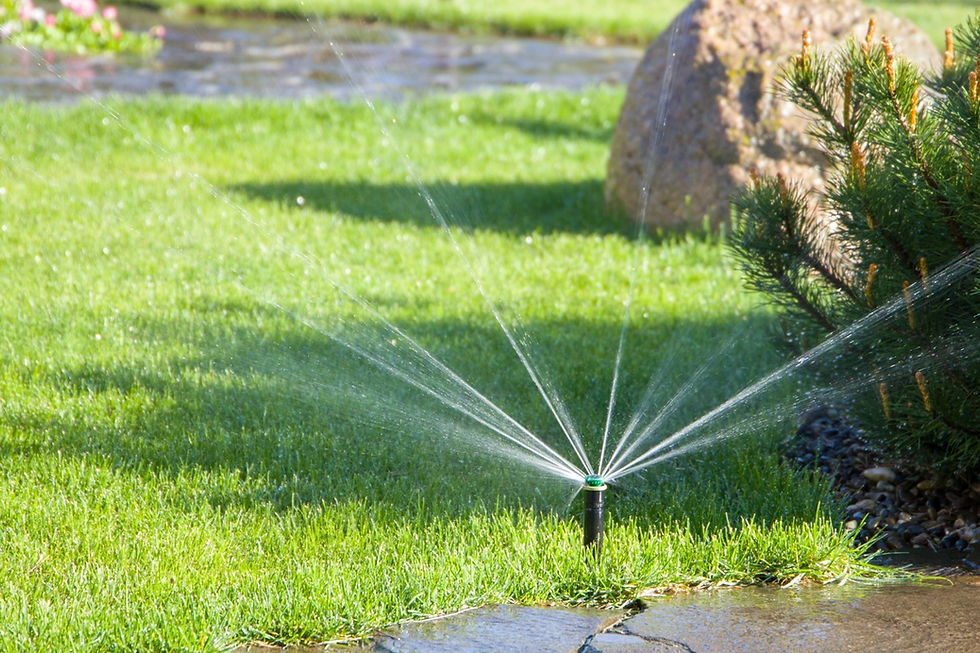 Lawn sprinkler spraying evenly across a green residential lawn.