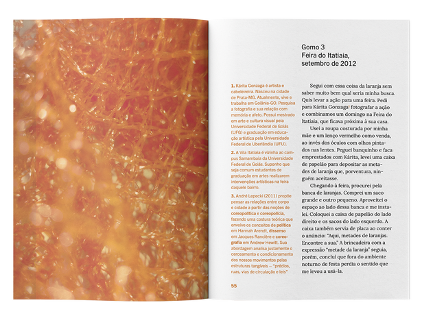 dissertacao descasca-se laranjas4.png