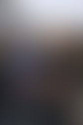 남가주서 토잉업체 운영 형제, 600만불 보험사기 혐의로 체포