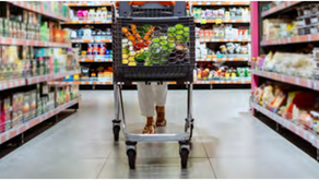 February 2026 Newsletter