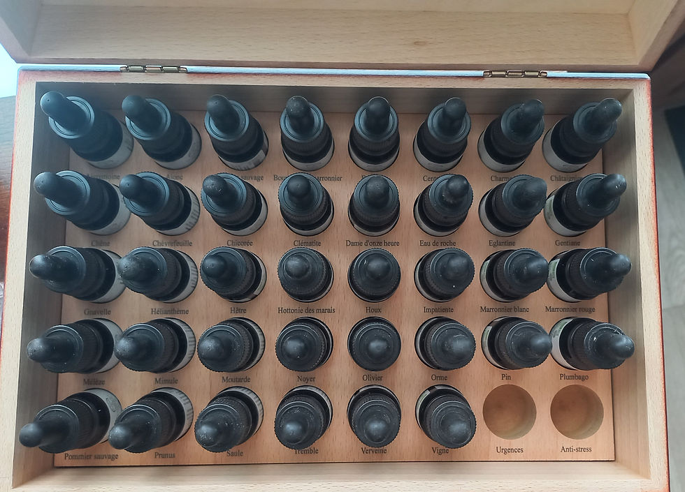 Miniature : Elixir Fleurs de Bach Personnalisé