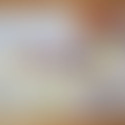 Tik Tok 開設しました♪