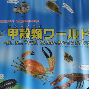 栃木県立博物館に行ってきました♫