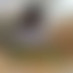 とうもろこしの皮むき