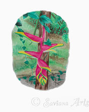 sg-20-Heliconia-Watercolor-on-Paper-9_-x-12_-2019.jpeg