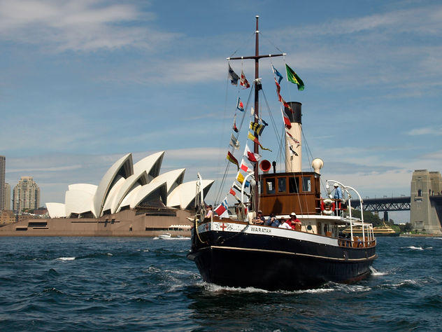 Steamers Waratah Lady H.jpg