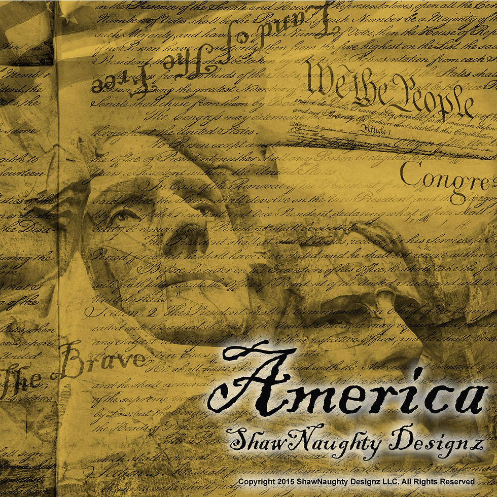 America-swatch-2