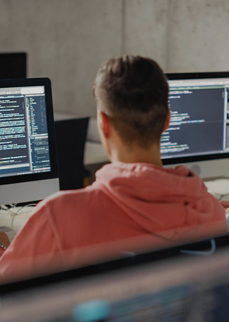 Software Programmer_edited.jpg