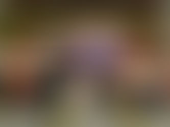 ノアインドアステージ株式会社 × LIFEいのち