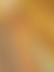 身体に良いものを食べる