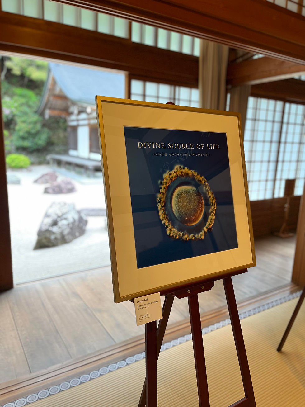 サムネイル： 「いのちの源」　DIVINE SOURCE OF LIFE