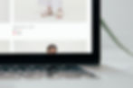 An online catalog ready for purchase