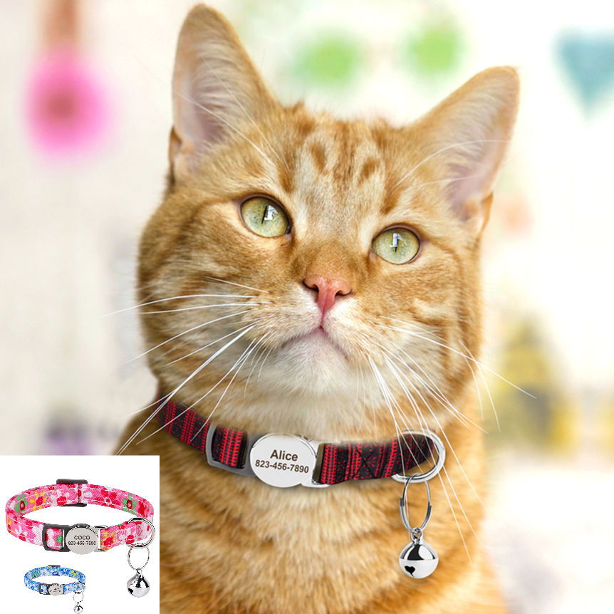 Personalized Cat Collar, Adjustable, Engraved Name and Phone Number with Bell 