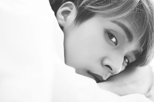 Son Dongwoon