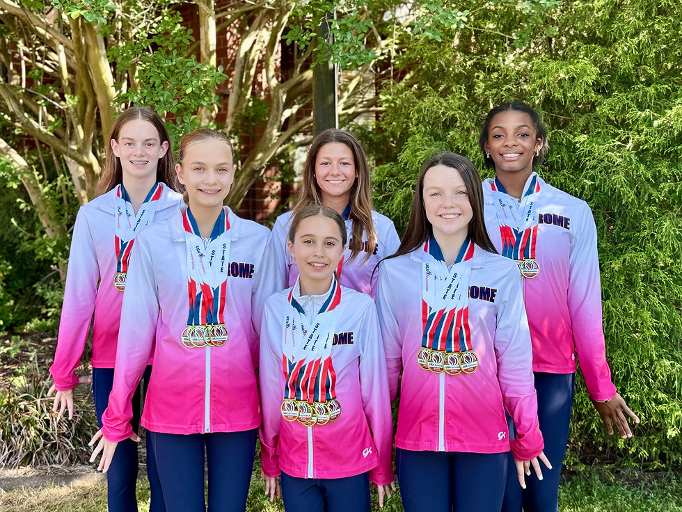 Rome Aerials Gymnastics State Results