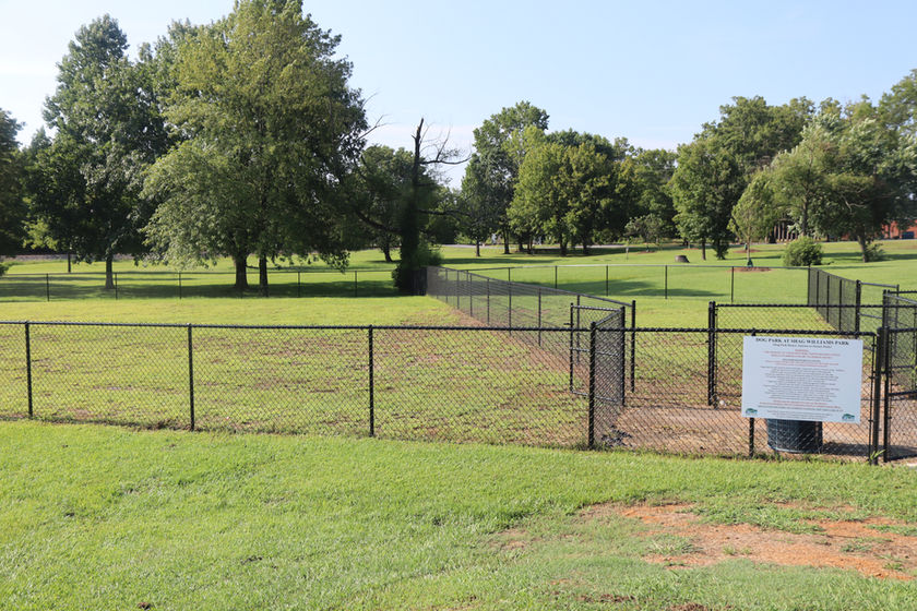 Fenced in dog park at Shag Williams Park