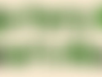 Ridge Ferry Farmer's Market Open June 6