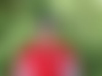 Tyler Stinson Earns National Certification as a Certified Park and Recreation Professional