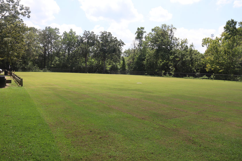 Open field at Tolbert Park for activity's