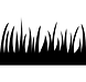 practice fields.png
