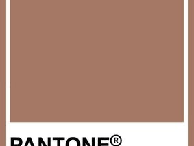 Tendência de Cor para 2025: O Elegante MOCHA e Suas Aplicações 