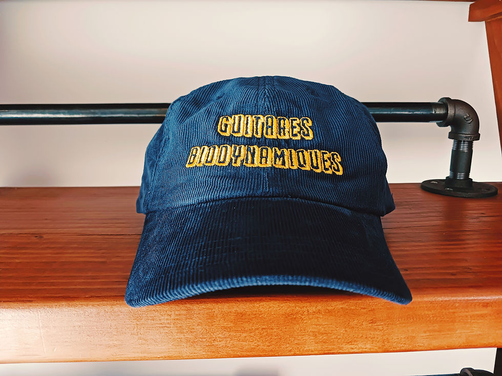 Thumbnail: Guitares Biodynamiques Hats