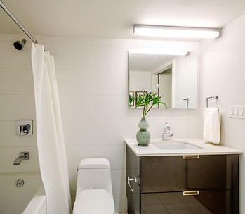 Modern home bathroo with sink, tub, shower and toilet