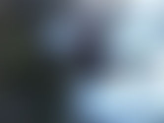 The Dogs of Mud Time