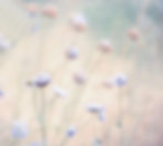 mjyExDzYuSsJ7K11KqeDbKNiVI7d9UzV2Ya1biy0qVvy_5O7xm9zJE8-TsD61BtHV8b-jC-qwsuSA6tdMXsGpMfJvW