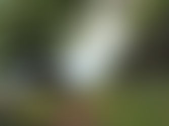 RACE Part 4: Communicate. It's What We Do.