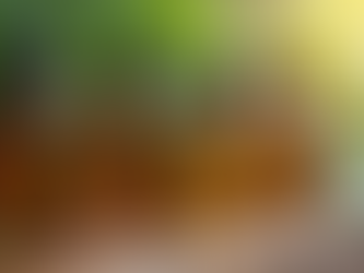 Scent Note Master Class: Understanding Scent Notes