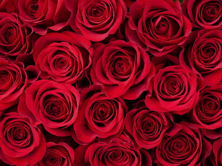        What's to Come: March 2026