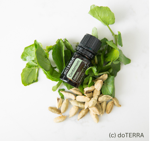 bottle of cardamom essential oil