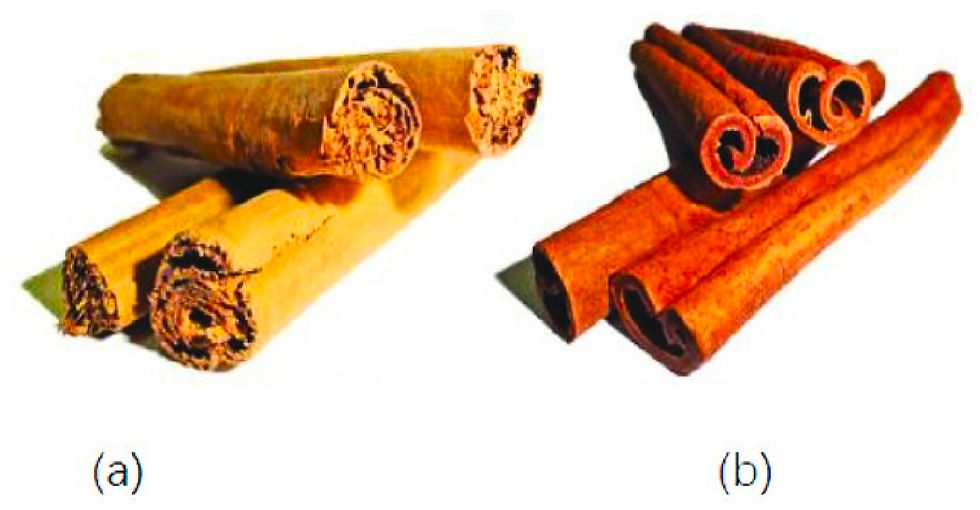 Cinnamon and Cassia sticks