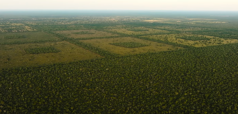 gran chaco with deforested areas