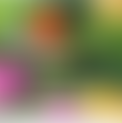 Welcome to Harvesters’ Corner