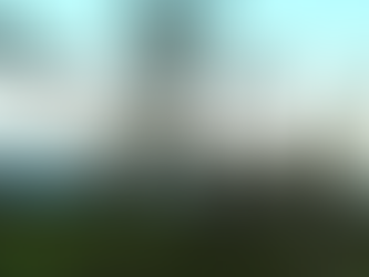 Sandalwood: Unlocking the Mystery of Two Oils (Part Three) Iliahi Hawaiian Sandalwood Essential Oil