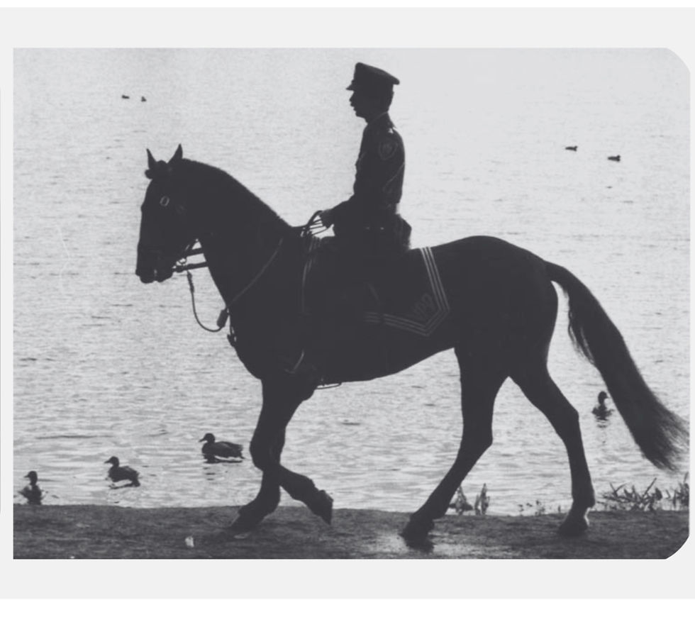 Speaker Series: VPD Mounted Unit