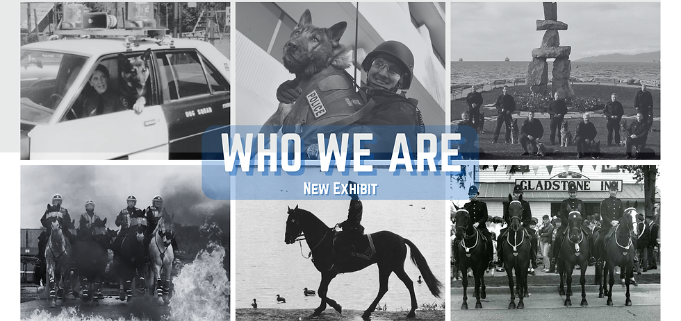 WHO WE ARE (72 x 34 in) (1).png