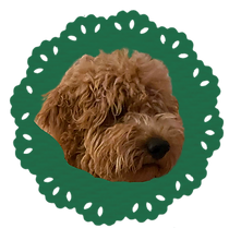 Murphy-testimonial-v2.png