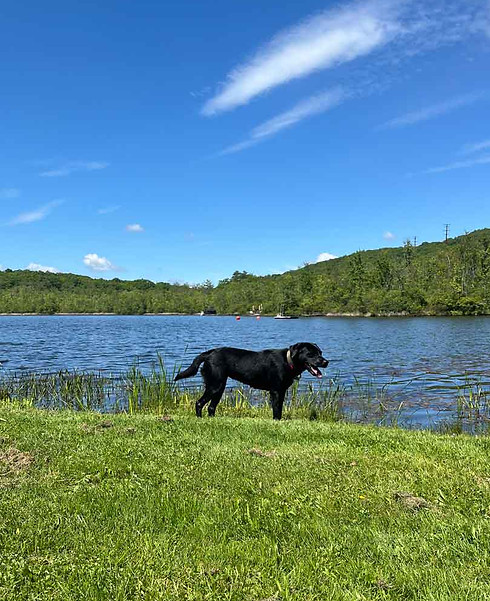 Bailey-cedarandsage.jpg