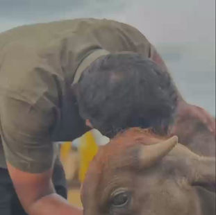Humans of the Sanctuary – Velu!