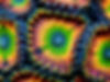 17909185784629795.jpg