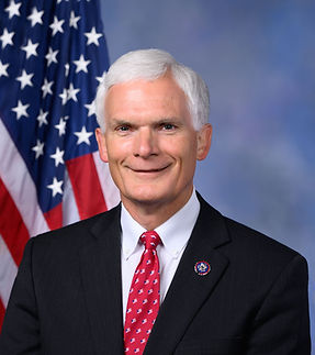 Troy_Balderson,_official_portrait,_116th_Congress