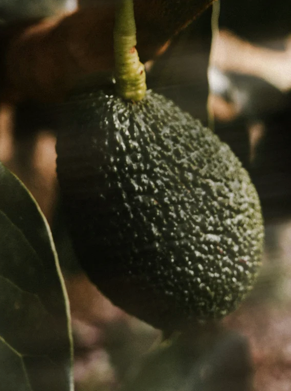 Thumbnail: Vitamin C Serum