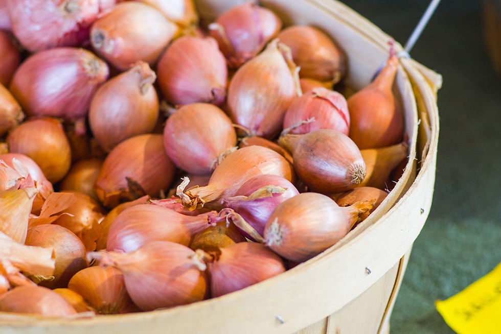 shallots.jpg